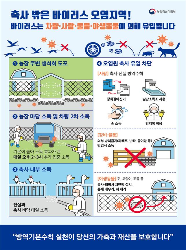 경기 평택 산란계 농장에서고병원성 조류인플루엔자 의심사례 확인