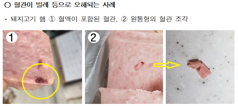 햄 속의 혈관! 니가 왜 거기서 나와?