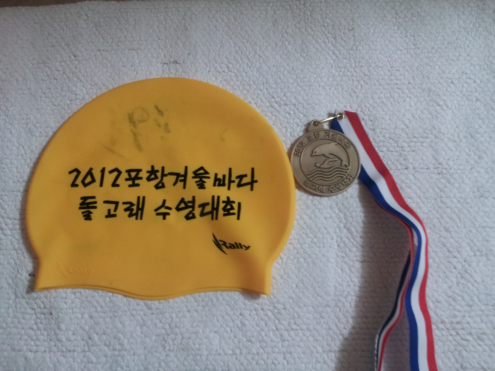 포항 돌고래 수영 대회