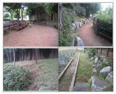 강동초 쌈지공원이 깨끗해졌어요 강동초 쌈지공원이 깨끗해졌어요