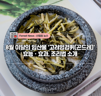 8월의 임산물, 고려엉겅퀴, 곤드레.png