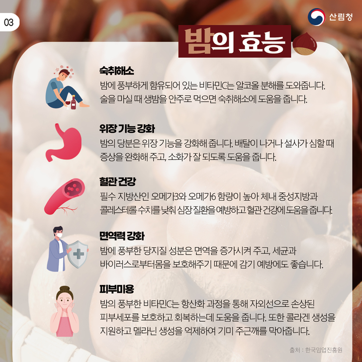 카드뉴스9월밤3.jpg