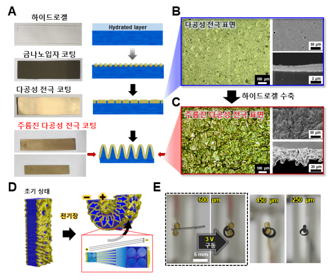 주름진 디공성 전극하이드로젤복합체 제작 과정과 구동 이미지 그림2.png