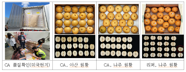 CA 컨테이너 활용 실증수출을 통한 실효성 검증 단일배.png