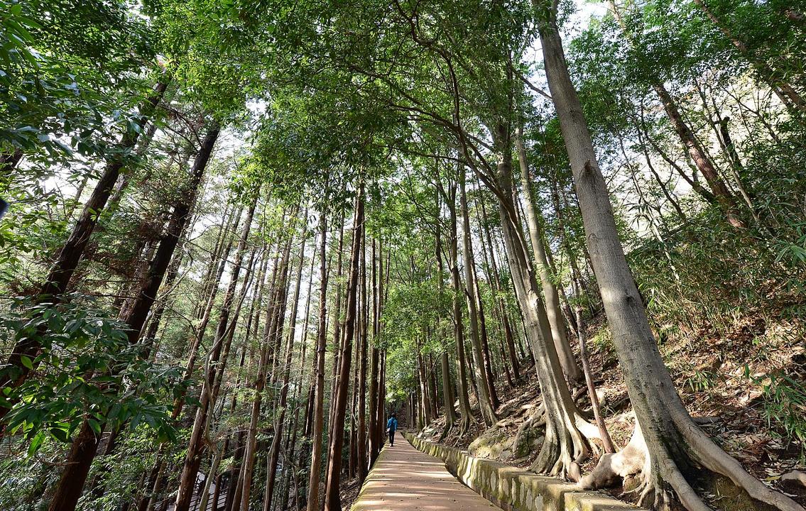 걷기 좋은 명품숲길우수백양산 나들숲길.jpg