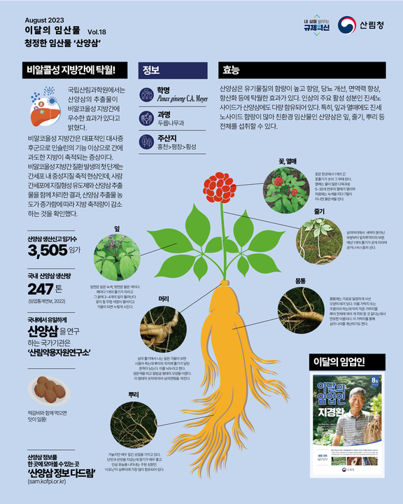 8월 이달의 임산물 ‘산양삼’