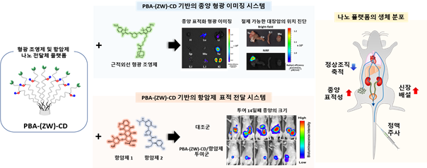 김대덕교수주요연구성과설명나노약물전달시스템연구의새로운 패러다임제시.png