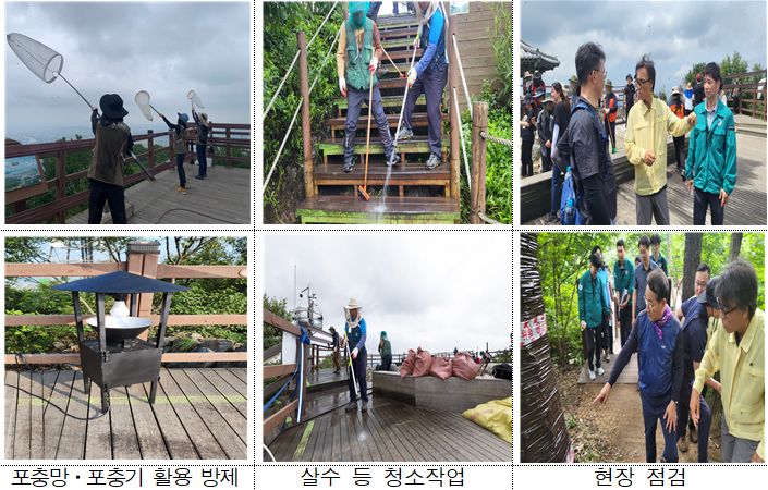  러브버그 등 곤충 대발생 대응체계 확대 개편