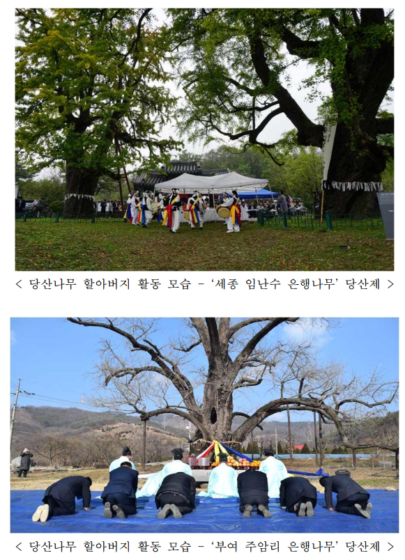 자연유산 지킴이 ‘당산나무 할아버지’들, 대전 천연기념물센터에 모인다