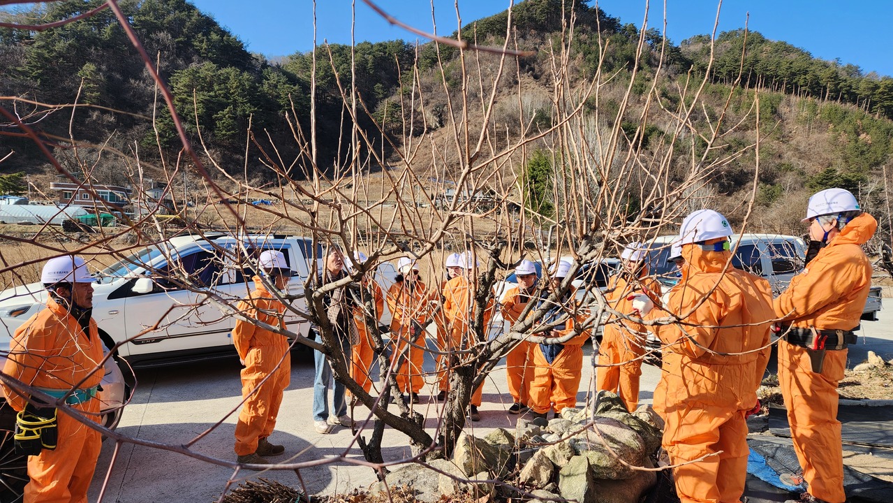 동해시, ‘전국 최초’ 반려녹지 도시 선포를 위한 혁신 워크숍 개최 녹지 행정의 패러다임 바꾼다.