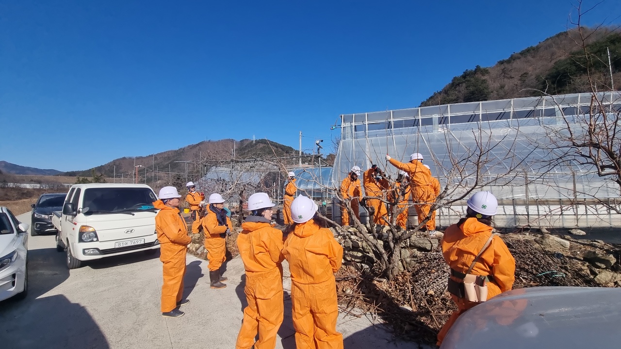 동해시, ‘전국 최초’ 반려녹지 도시 선포를 위한 혁신 워크숍 개최 녹지 행정의 패러다임 바꾼다.