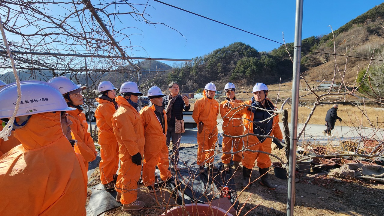 동해시, ‘전국 최초’ 반려녹지 도시 선포를 위한 혁신 워크숍 개최 녹지 행정의 패러다임 바꾼다.