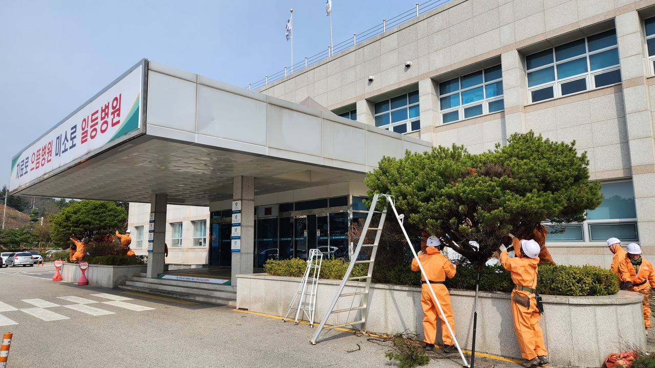 광부들의 거친 숨결, 초록빛 위로로 달래다 광부들의 거친 숨결, 초록빛 위로로 달래다