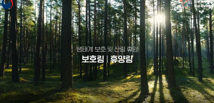 아이러브우드 누리집.png 아이러브우드 누리집.png