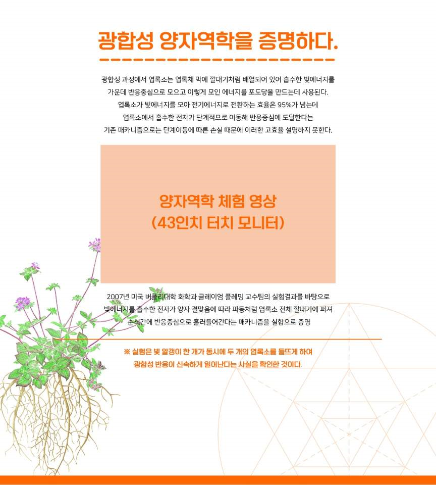 식물 속 과학 기획전, 광합성 양자역학.png 식물 속 과학 기획전, 광합성 양자역학.png