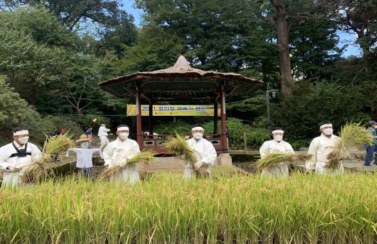 2021년 벼베기 행사 전경.png