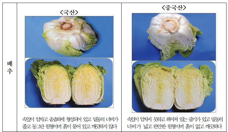 배추.png 배추.png