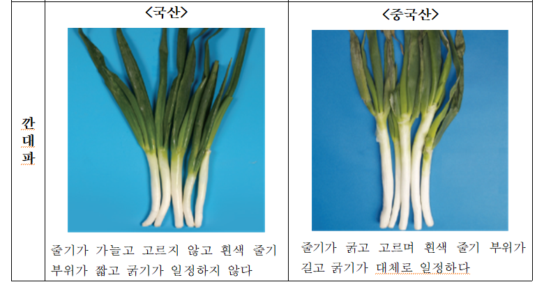 깐대파.png 깐대파.png