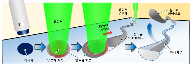 22년11월 수상자고승환 교수 장기모사칩에 적용가능한투명실리콘미세패터닝기술개발.png