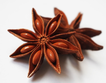 팔각회향(Illicium verum Hook. f.) 열매.png 팔각회향(Illicium verum Hook. f.) 열매.png