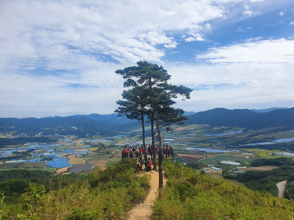 펀치볼둘레길.jpg 펀치볼둘레길.jpg