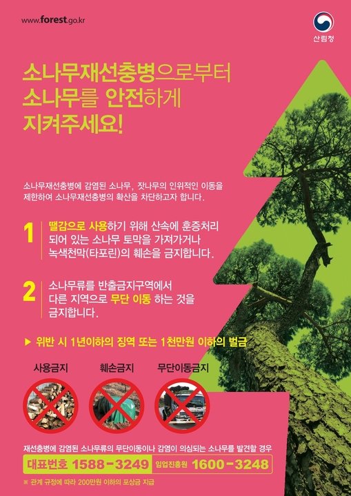 소나무재선충병 전단.jpg
