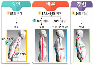 고령자체형분류기준예시.png