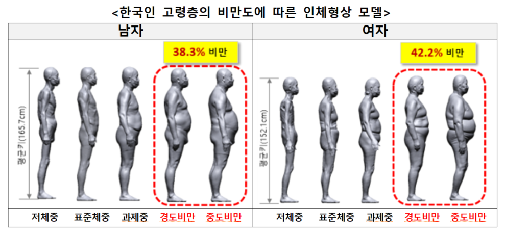 한국인 고령층의 비만도에 따른 인체형상 모델.png