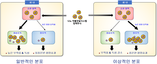 김대덕교수주요연구성과설명나노약물전달시스템연구의새로운패러다임제시.png