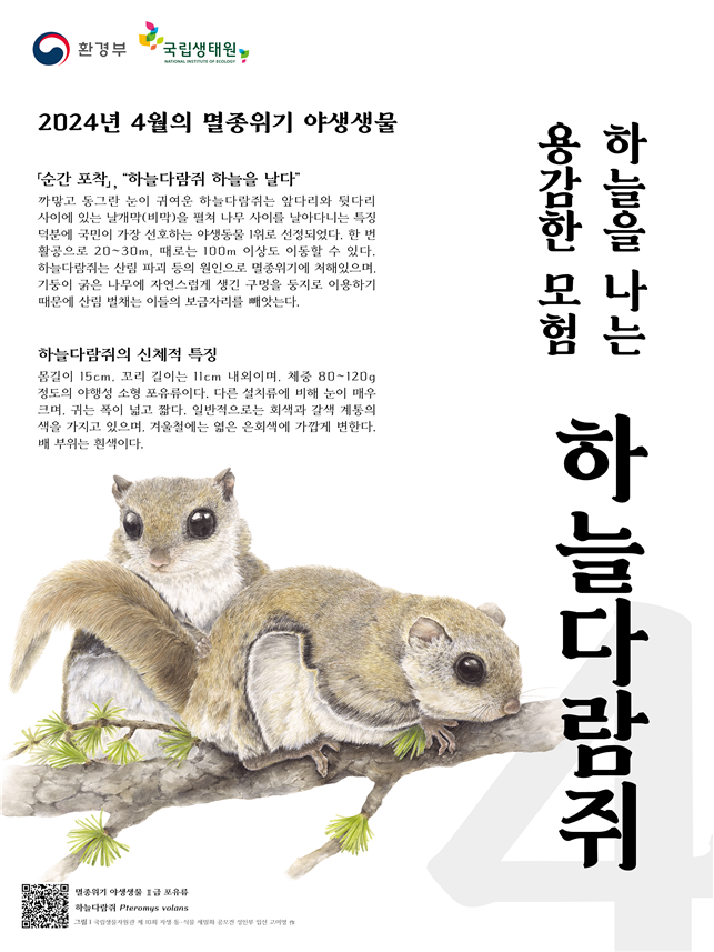 4월의 멸종위기 야생동물 포스터 하늘다람쥐.png