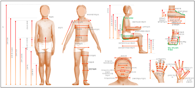 2023년 한국인 아동·청소년 인체치수조사 전신·손·발 항목 예시.png