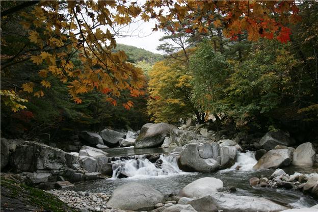 가야산 소리길.jpg