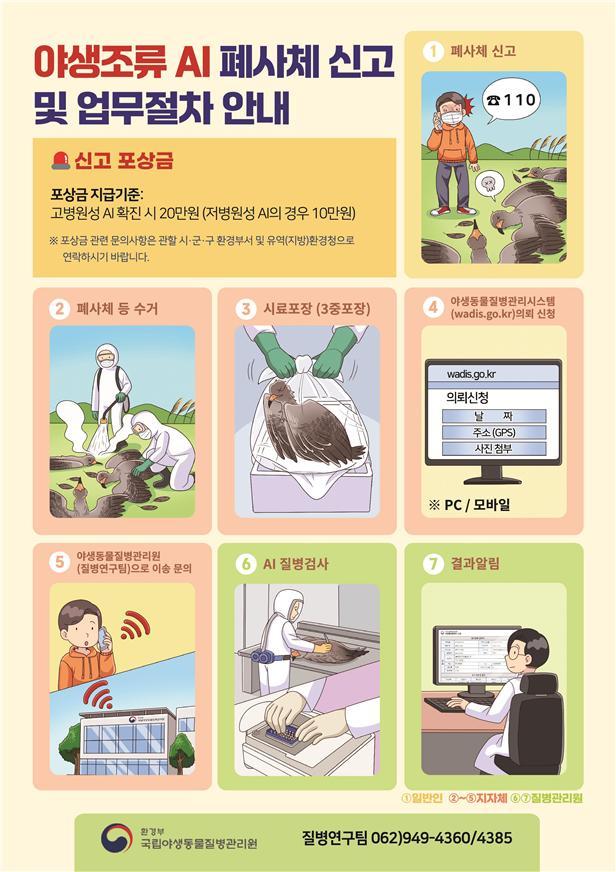 야생조류 폐사체 신고 안내 및 업무처리 절차2.jpg