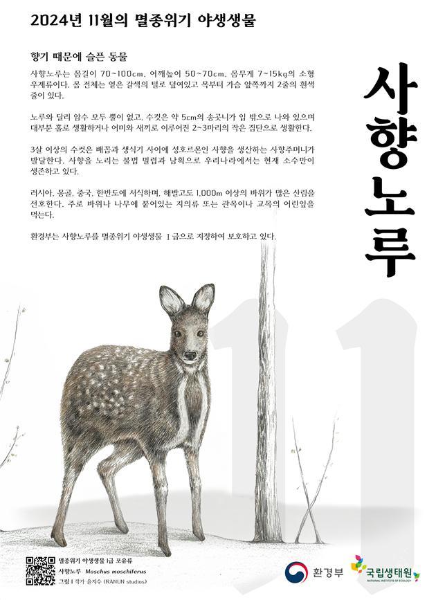 11월의 멸종위기 야생생물 포스터.jpg
