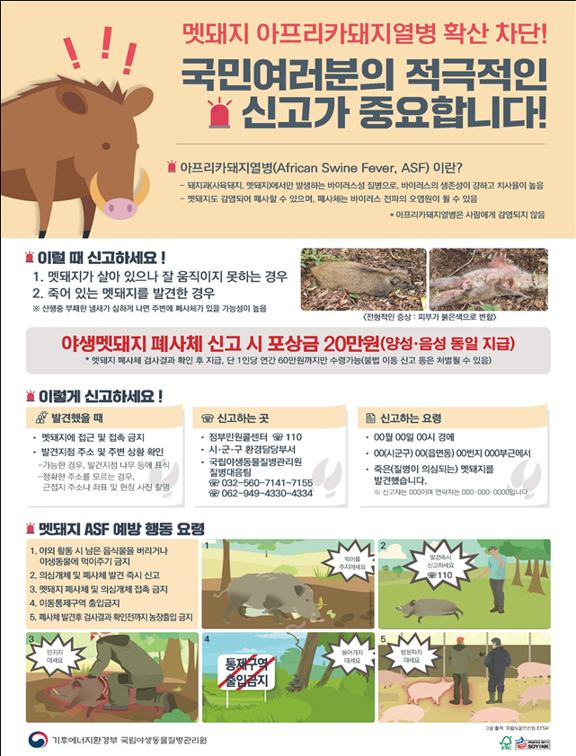 야생멧돼지 ASF 폐사체 신고 홍보 이미지.png