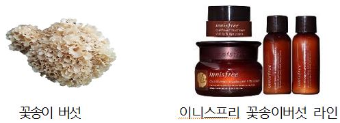 환경부, 자생생물 녹색혁신기업 지원 강화한다 