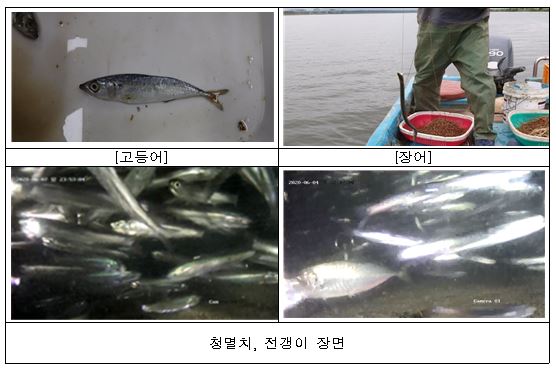 낙동강 하굿둑 개방 3차 실험 결과, 생태 복원 가능성 확인