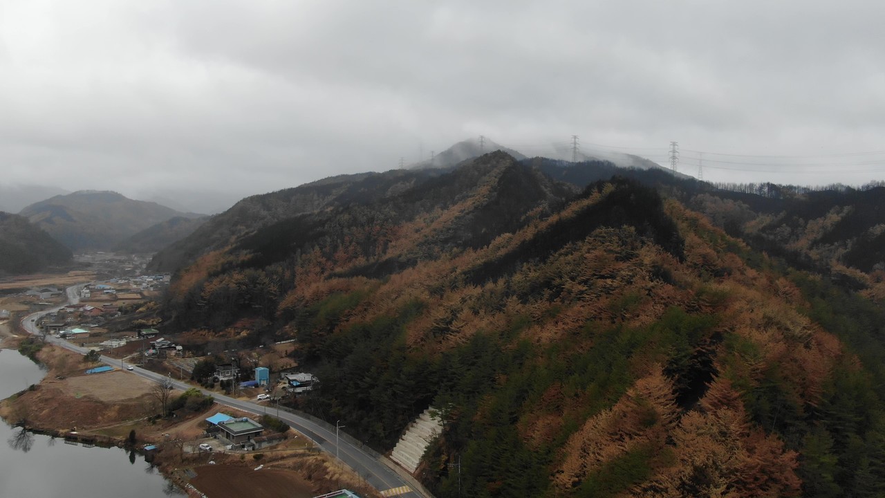 울진·삼척지역 산불피해지 산림생태복원 추진