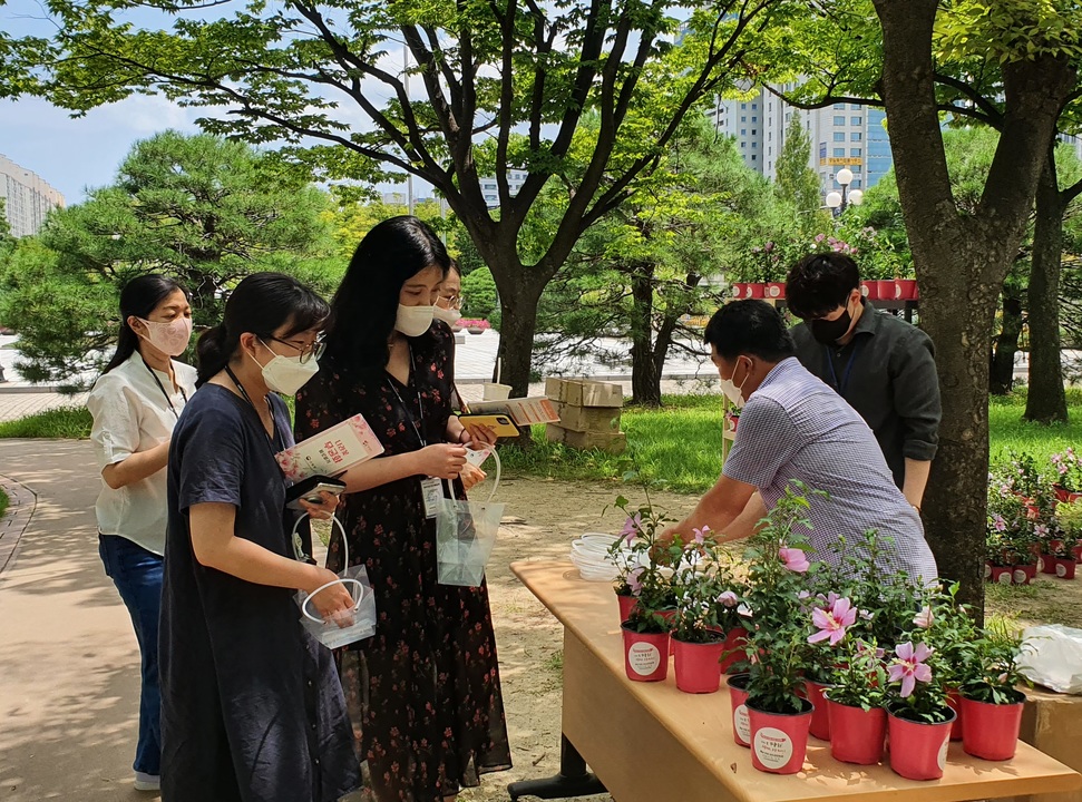 축구 경기 보기 전, 나무 받아 가세요!