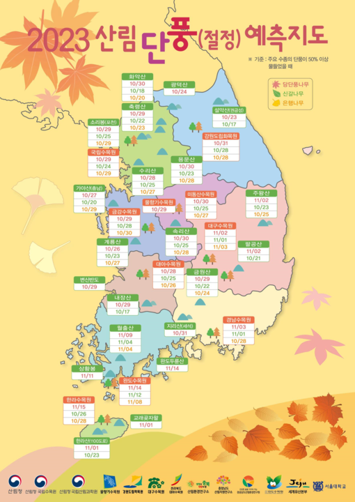 성큼 다가온 가을, 단풍 구경 떠나볼까?