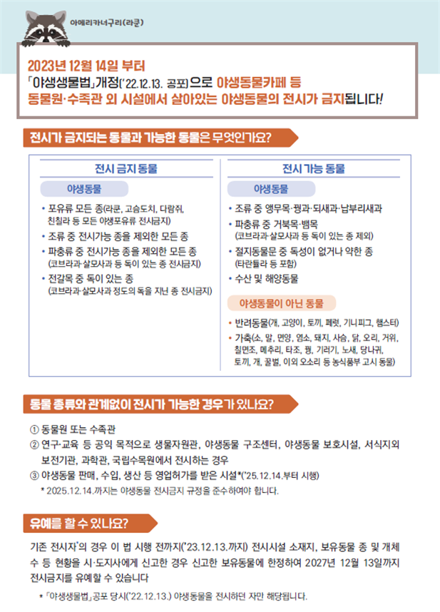 라쿤 등 동물카페 전시기준 개선 한 달, 업계 소통으로 동물복지 정착시킨다